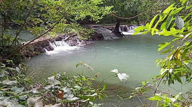 flowing water stream creek cascade waterfall in tropical forest