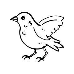 Bird doodle line vector illustration, hand drawn animal sketch, minimalist flying nature art design

