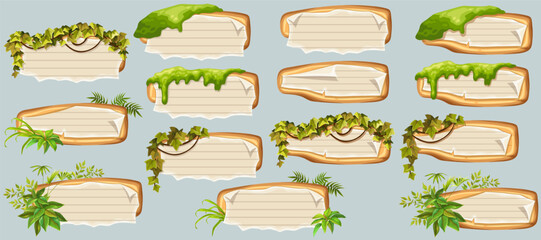 Wooden signboards with old paper, stems ivy, liana, grapes, vine, swamp moss, forest lichen. Set isolated wooden elements with blank, with school page in line, ragged graph paper. 