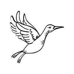 Obraz premium Minimalist Flying Bird Doodle Art, Hand-Drawn Nature Outline Illustration