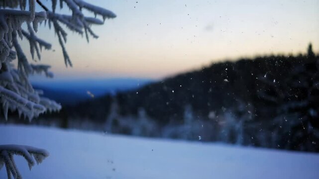 snow falling in forest in mountains, winter landscape, blurred background, spruce, copy space