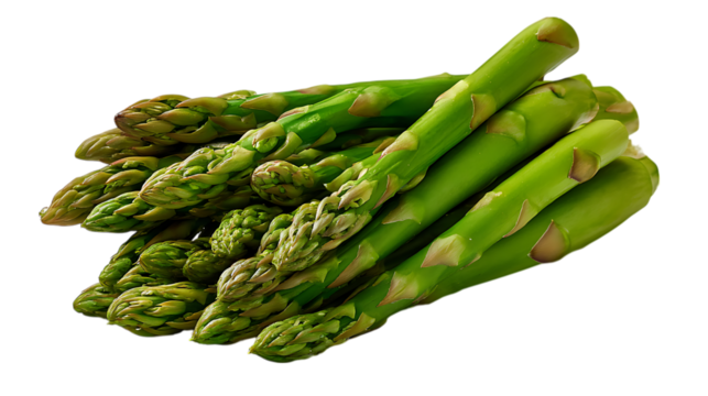 A close up view of a bunch of fresh green asparagus spears with tightly closed buds isolated on transparent background
