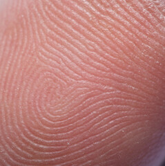Fototapeta premium Close-up macro human fingerprint,finger close up,Macro shot of fingerprint leaning on control glass for biometric scan. concept of surveillance and security through human fingerprints