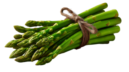 Fresh green asparagus spears tied together with twine isolated on transparent background