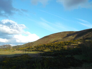 Obraz premium landscape with mountains