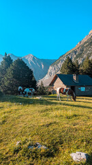 Horses in a mountain landscape in the Aragon Pyrenees, with the Lavasar refuge next to Ibón de Plan and the imposing mountain peaks of the Chistau Valley in the background, capturing the essence