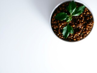 Bowl of Cooked Lentils with Herbs