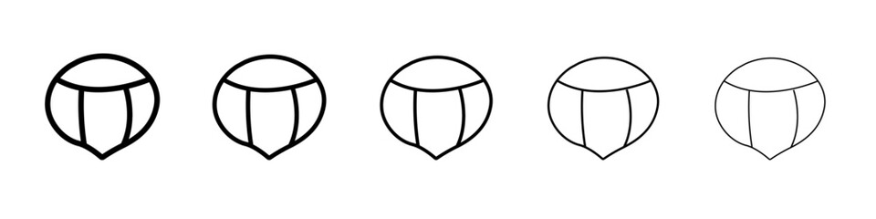 Chest nut icon vector illustration isolated