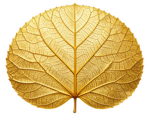Golden Leaf Skeleton in Artistic Metallic Style, isolated on transparent background