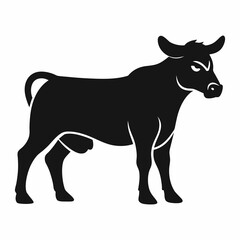 black and white cow