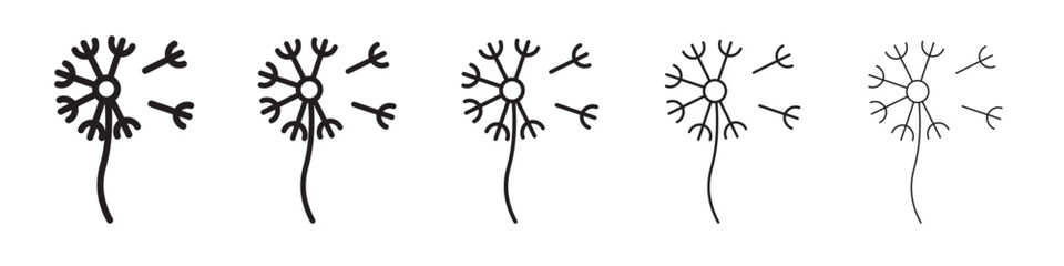 dandelion icon vector illustration isolated