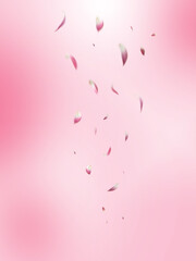 Romantic Floral Petals Falling on Blurred Pink Backdrop
