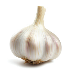 Fresh garlic head isolated on white background