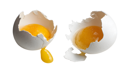Chicken egg shell cracked in half egg yolk and white dropping out isolated on a white background