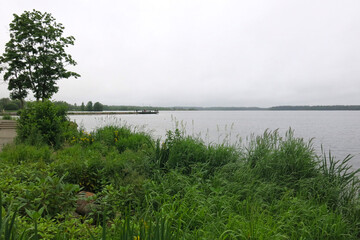 shore of Lake Valdai in summer