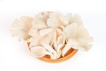 Beautiful texture and pattern on underside gills of farmed white oyster mushroom. Delicious and Nutrition Edible Organic Mushrooms  for vegetarian and healthy lifestyle people. Lung Oyster Mushrooms.