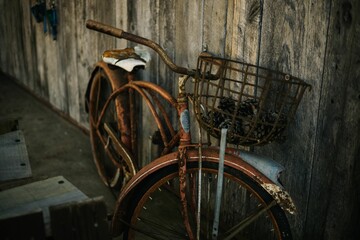 Fototapeta premium Rustic Vintage Bicycle with Pine Cones