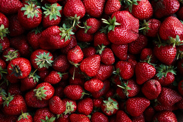 Fresh ripe strawberries with green leaves, closely packed together. Vibrant red color and detailed texture make a perfect summer fruit background. Close view from above.