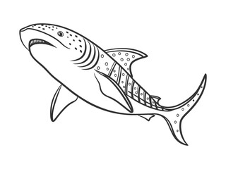 Obraz premium Vector hand-drawn sketch doodle outlines whale shark isolated on a white background