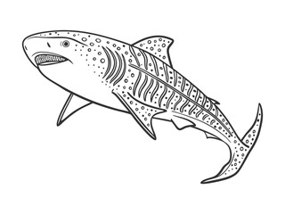 Fototapeta premium Vector hand-drawn sketch doodle outlines whale shark isolated on a white background