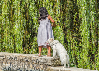 little girl with dog walks on the edge holding on to the branches of the tree. Italy. Milan. 24.07.2021