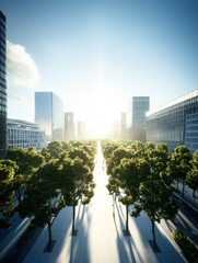 Fototapeta premium Urban Landscape with Sunlight, Tall Buildings and Green Trees