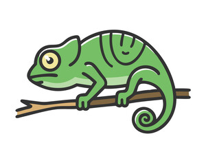 chameleon on a white background