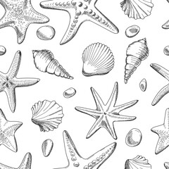  Seamless pattern with seashells, starfish and pebbles. Vector pattern monochrome sea creatures on a white background. Cute marine cartoon pattern. Hand drawn illustration. Vector