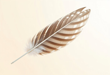 Elegant brown and white feather lying on a light background, minimalist natural composition.