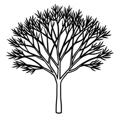 Tree Vector
