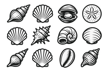 Fototapeta premium Monochrome seashell collection: snails, oysters, sand dollars, spirals and conch icons