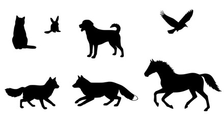 Obraz premium Various Dog Breeds