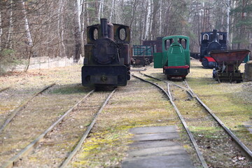 Collection of steam locomotives on railway tracks in a forest setting