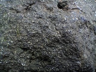 texture of dark volcanic rock with shiny mineral inclusions and rough surface, showing natural geological patterns and details in high resolution under natural lighting