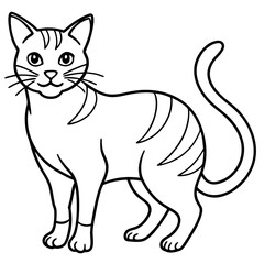 Fototapeta premium cat line art vector
