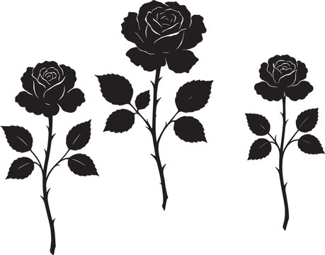 rose black and white silhouette in vector farm with white background 
