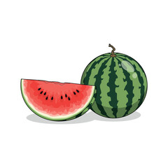 Fresh Watermelon Fruit with Juicy Slice and Green Striped Rind on White Background - Vector Illustration
