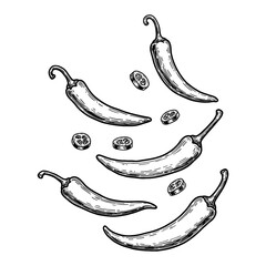 Falling or Floating Whole and Sliced Chilli Peppers Black and White Outline Line Art Drawing