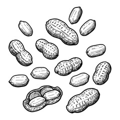Collection of Peanuts Falling Floating or Scattered Black and White Outline Line Art Drawing