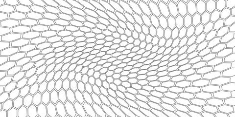 Abstract white and grey hexagonal pattern background design. Modern simple overlapping hexagon geometric element with molecular structures.