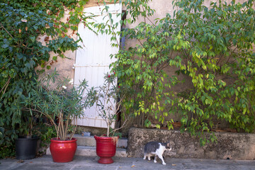 Grimaud