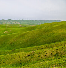 Serene landscape of rolling hills and grass in mountainous region