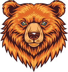 vector illustration of a bear