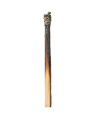 One burnt match isolated on white. Tool for starting fire
