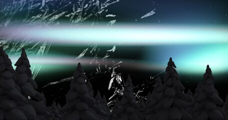 Glowing aurora borealis dancing across night sky over snowy fir canopy, with subtle frost patterns