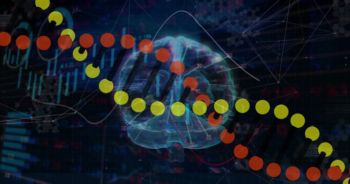 Highlighting DNA helix linking wireframe brain in visualization with hex grid network lines