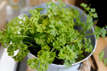pot de persil