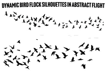Flying Bird Silhouette design