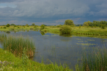 lake in the park