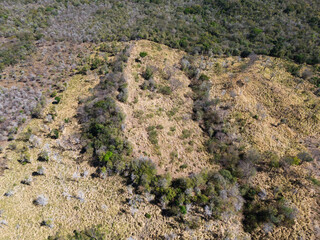 Dry meadow landscape